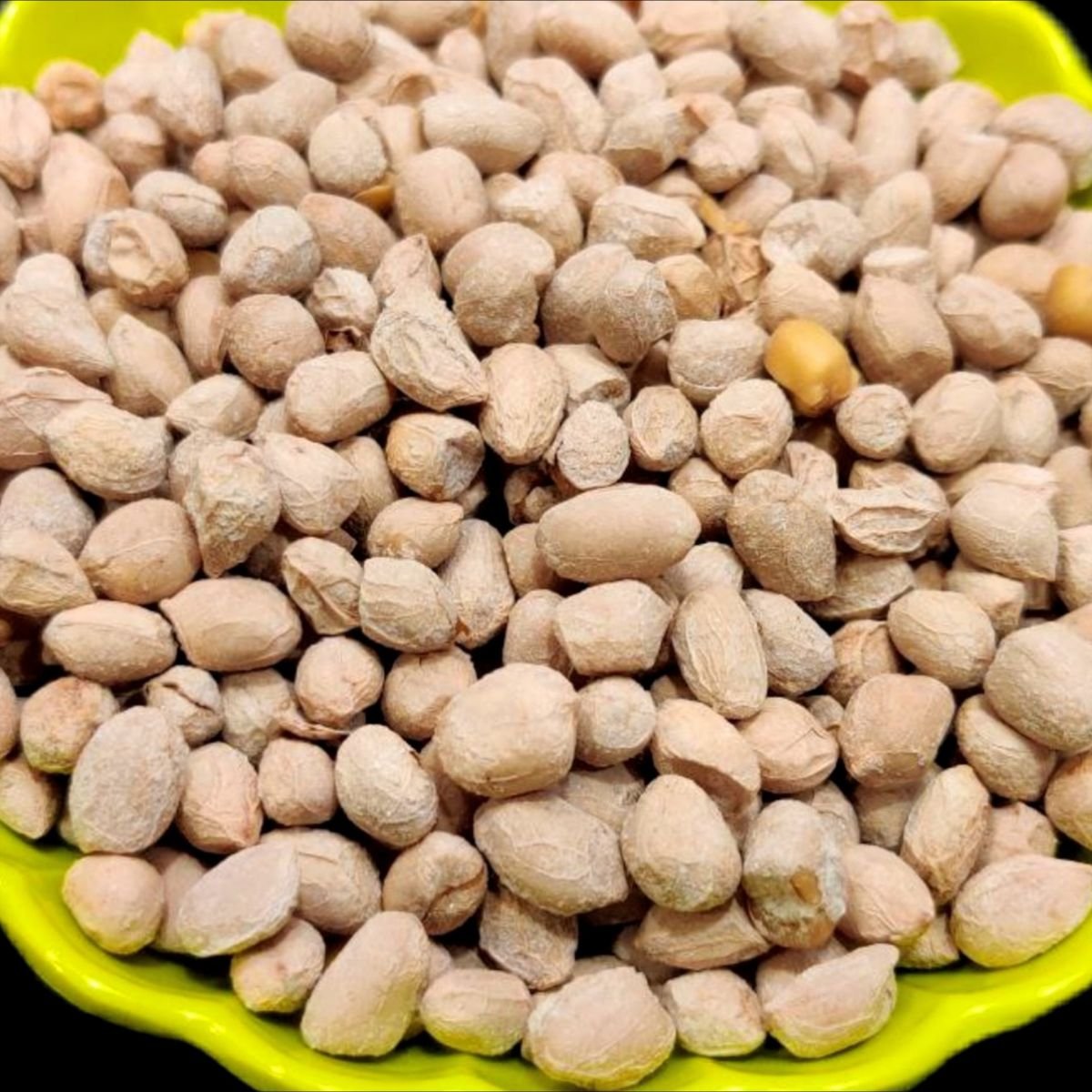 19e053d11b917b8eaf456261fa9ba8e1